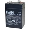   FIAMM FG 10451 6/4.5