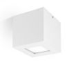 ��������� ���������� ��� ������� 700277 QUASAR CEILING (SOFF WHT), ���� �����, IP40. PRISMA (PERFORMANCE iN LIGHTING), ������