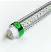 ������ led T8-H10