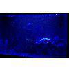 LED ���������� ��� ��������� AL600B