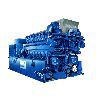 ������������� �������������� (���) MWM TCG 2020 V16